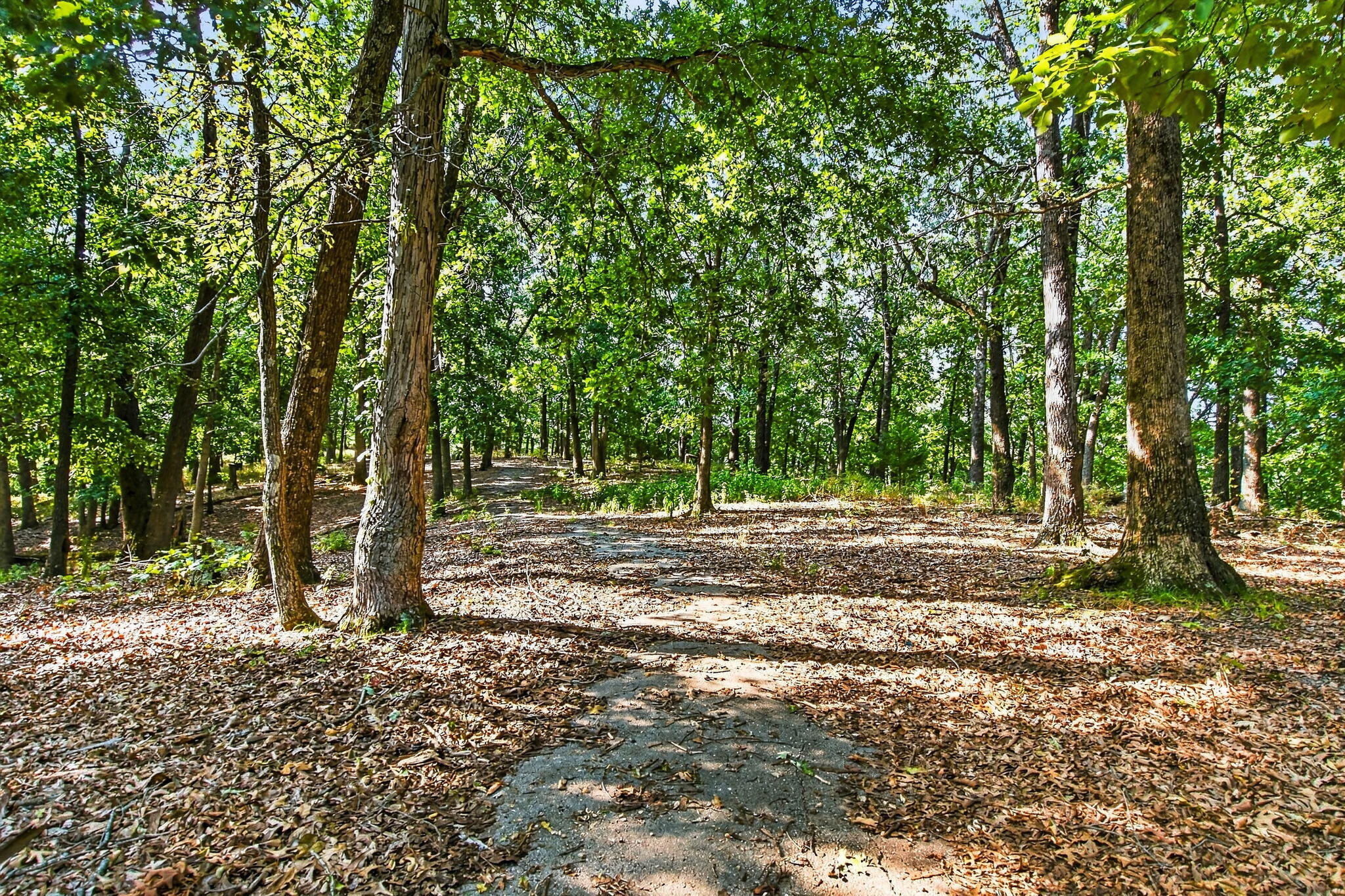 Photo 2 - Land for sale – 14  Buena Vista Parkway  Strafford, MO