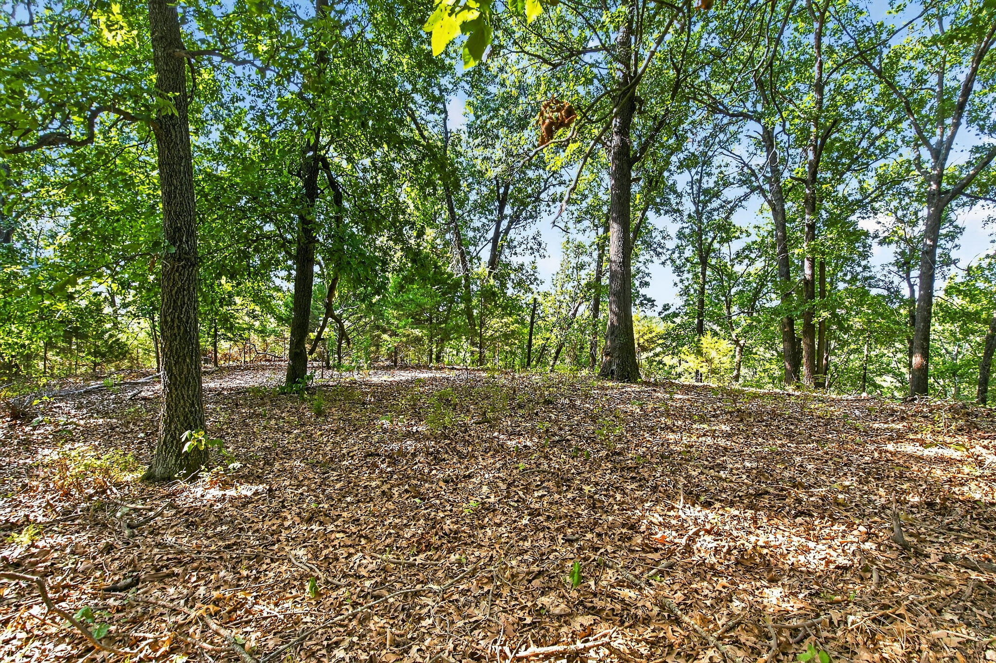 Photo 6 - Land for sale – 14  Buena Vista Parkway  Strafford, MO