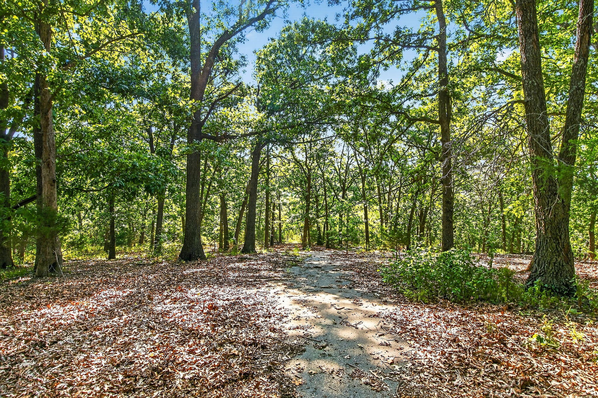 Photo 5 - Land for sale – 14  Buena Vista Parkway  Strafford, MO