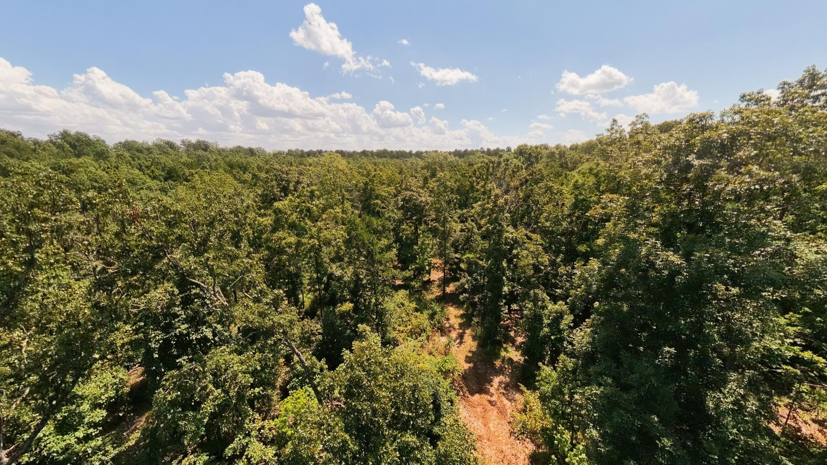 Photo 14 - Land for sale – 000  County Road 127   Alton, MO