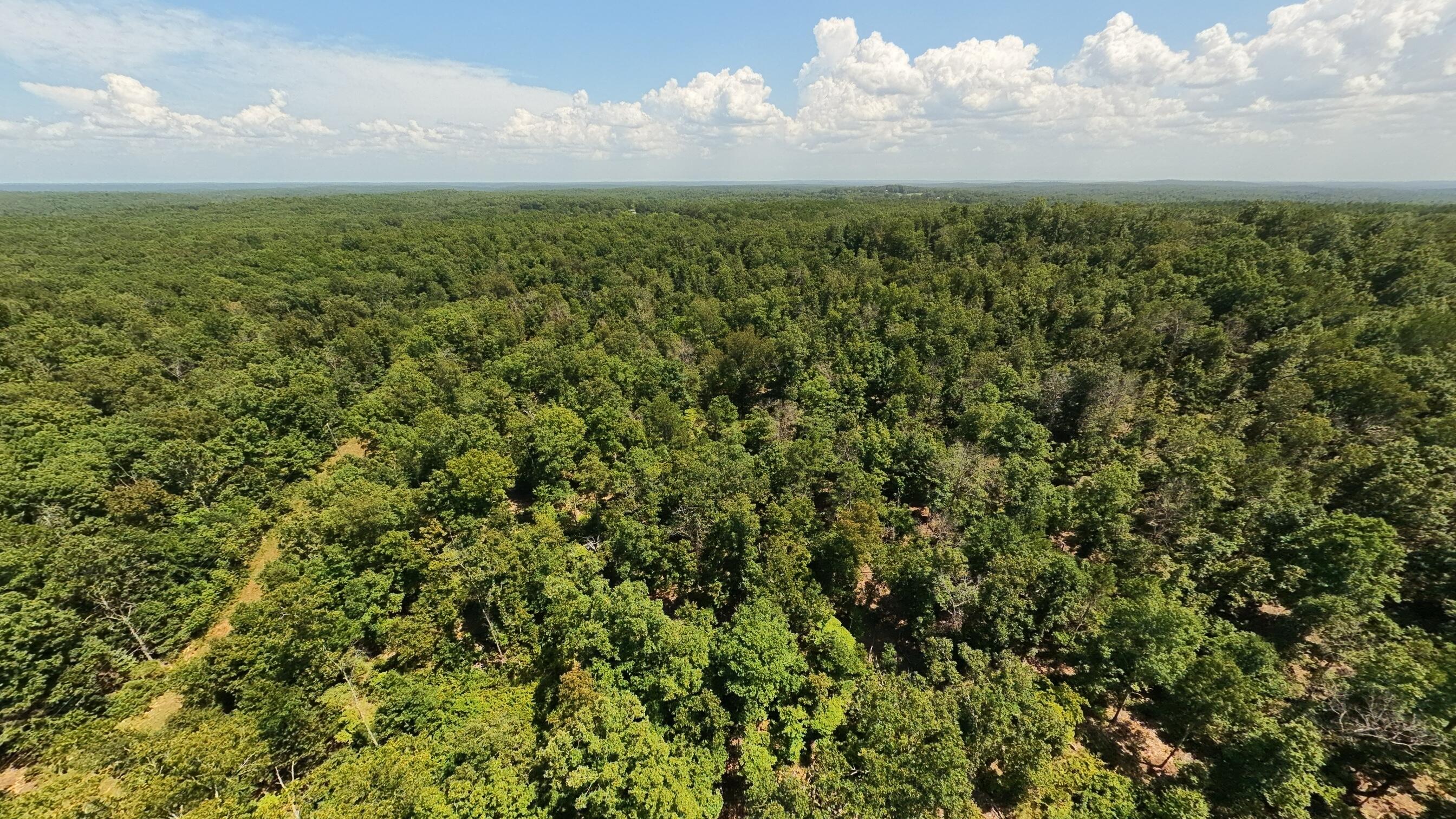 Photo 16 - Land for sale – 000  County Road 127   Alton, MO