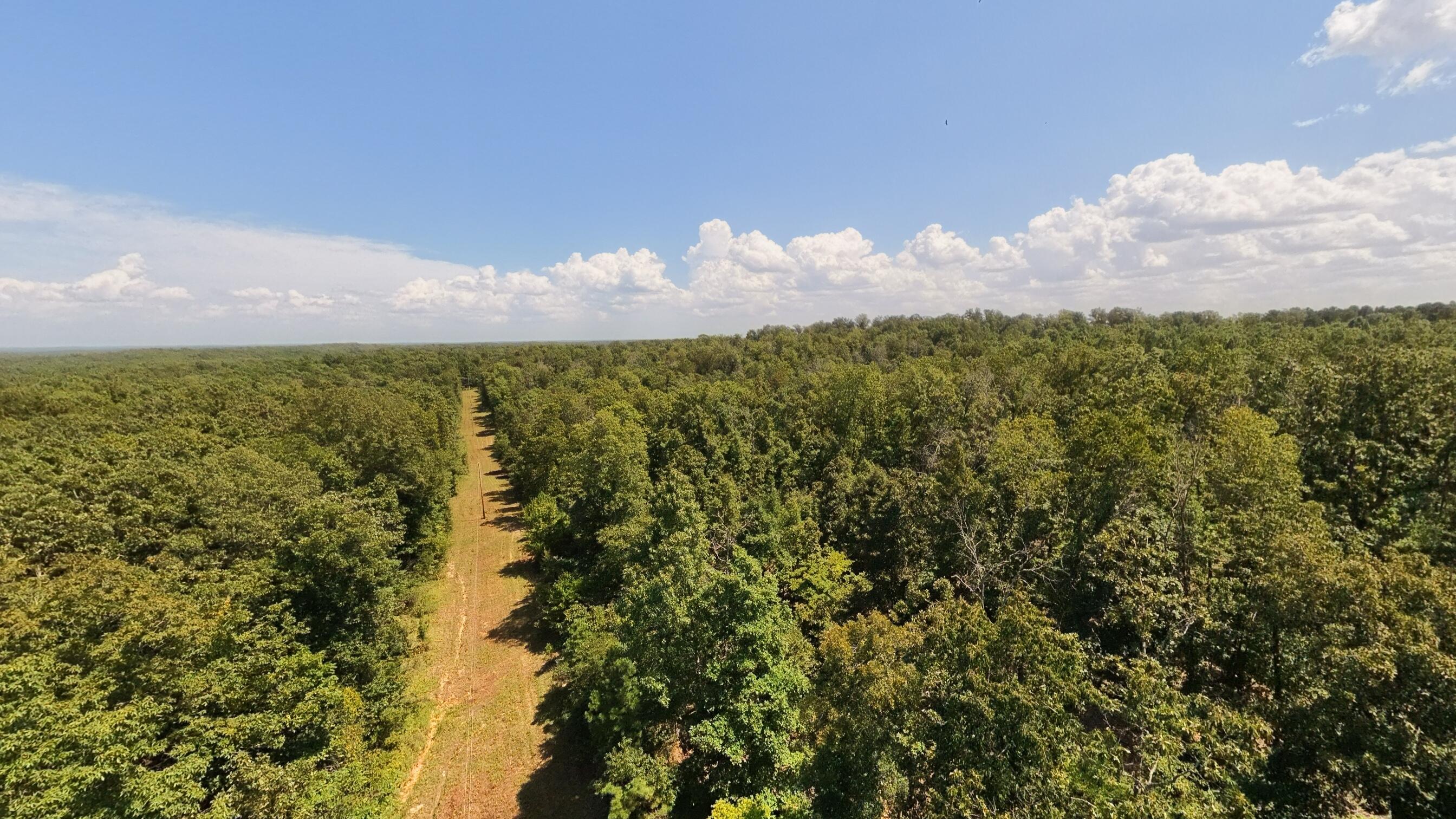 Photo 9 - Land for sale – 000  County Road 127   Alton, MO