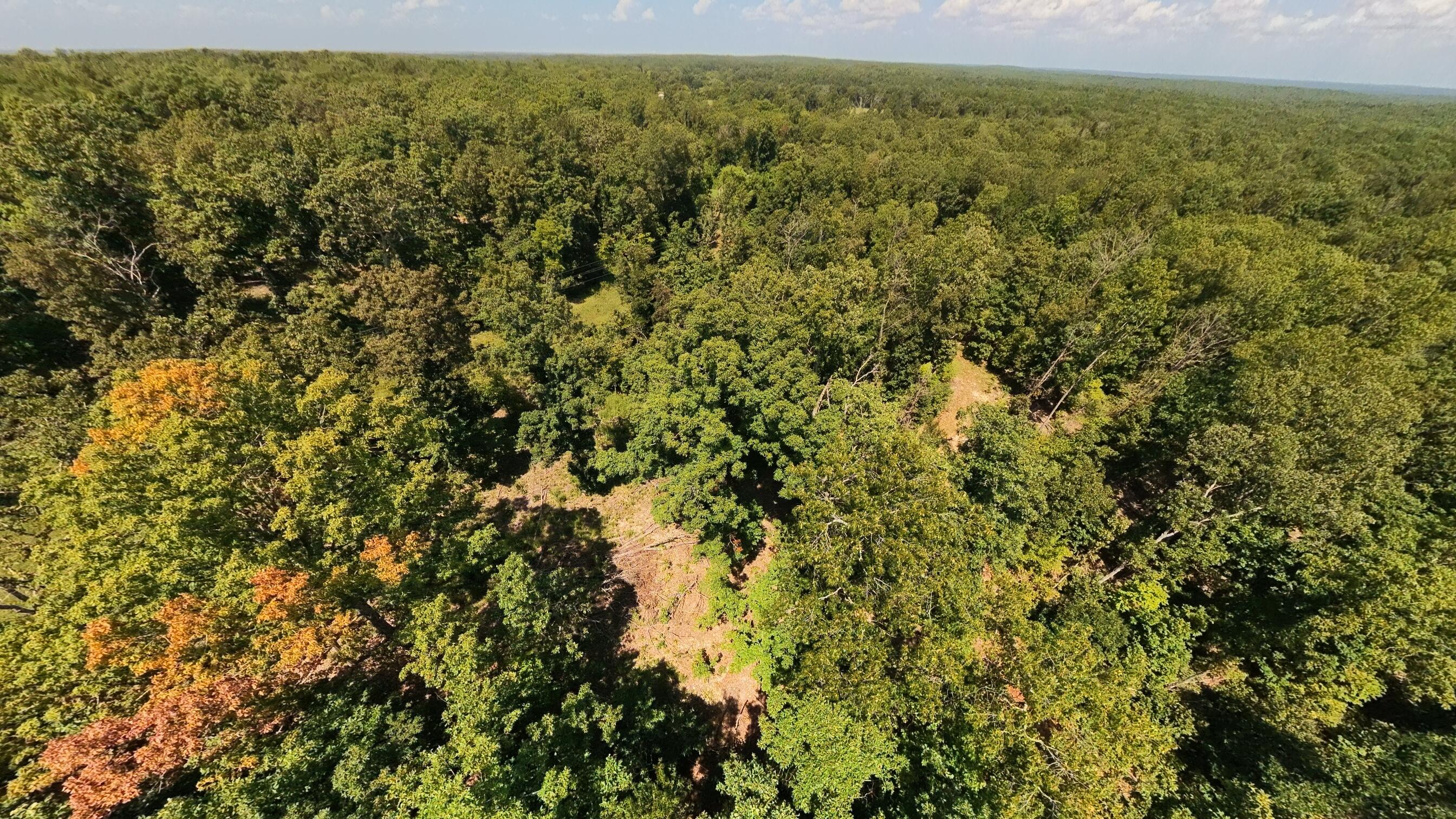 Photo 11 - Land for sale – 000  County Road 127   Alton, MO