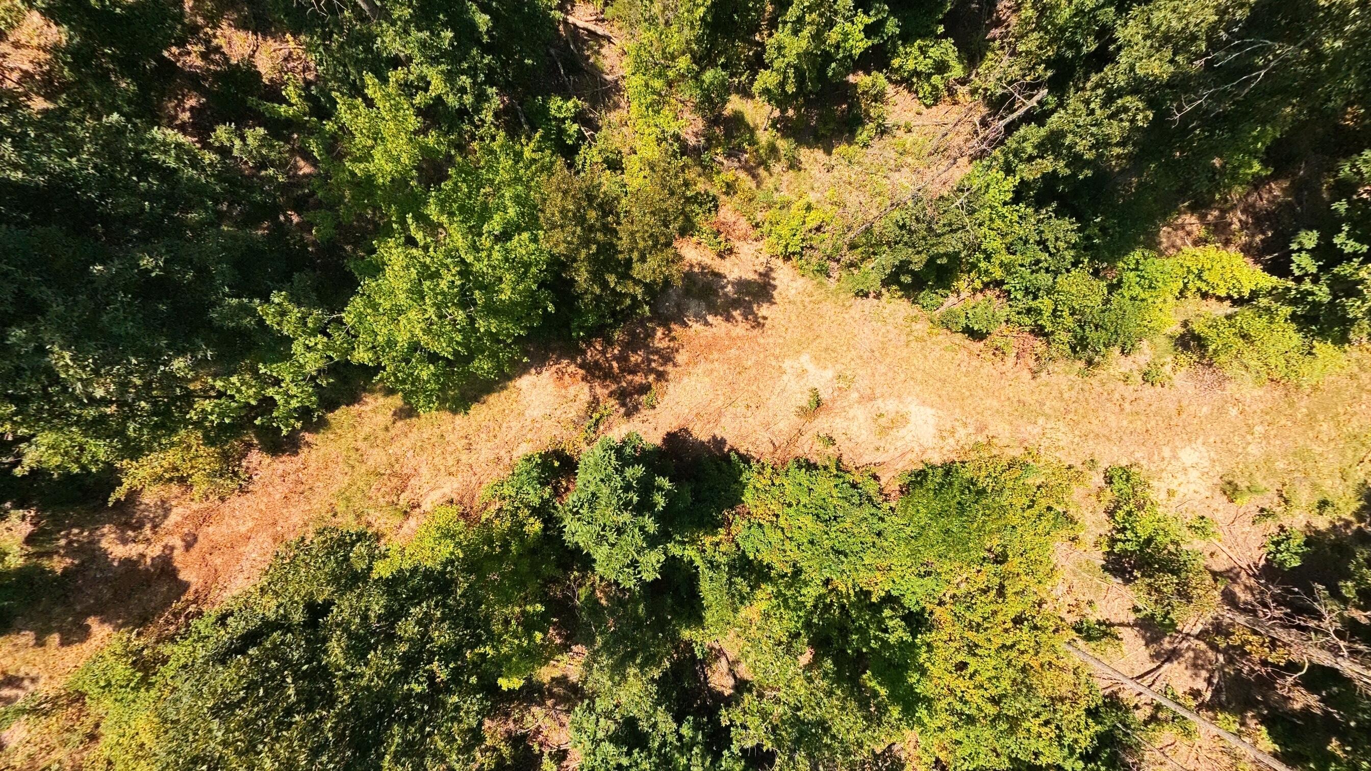 Photo 13 - Land for sale – 000  County Road 127   Alton, MO