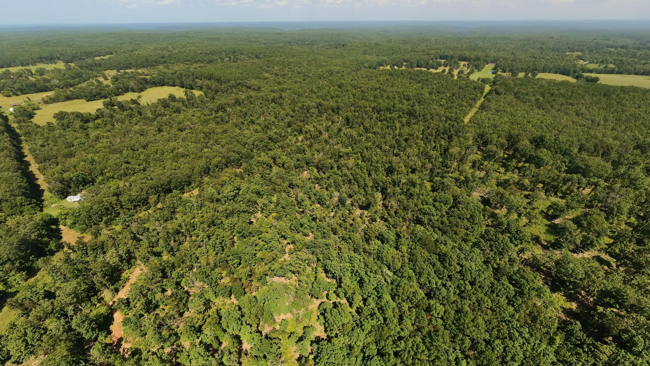 Photo 6 - Land for sale – 000  County Road 127   Alton, MO