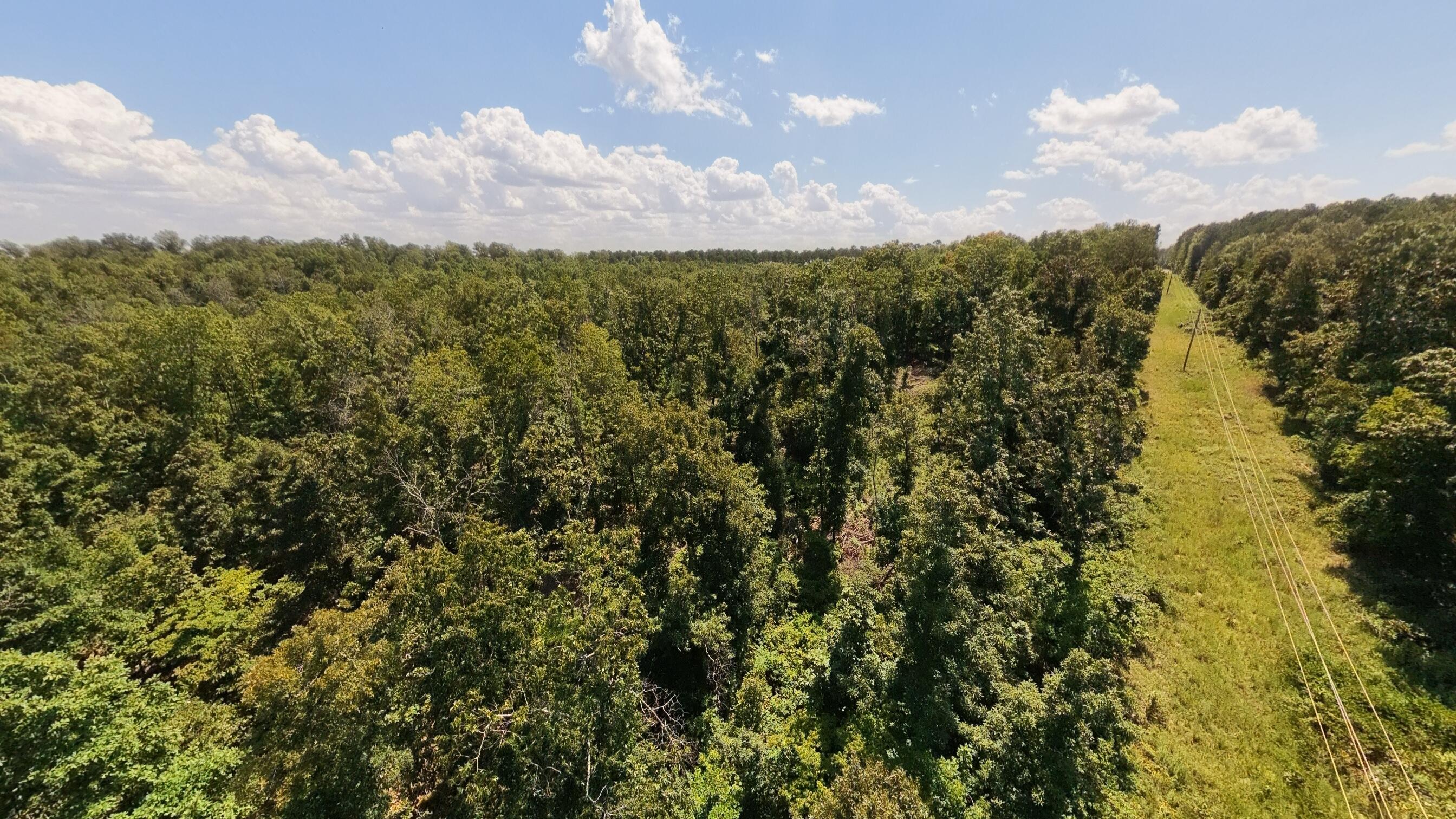 Photo 8 - Land for sale – 000  County Road 127   Alton, MO