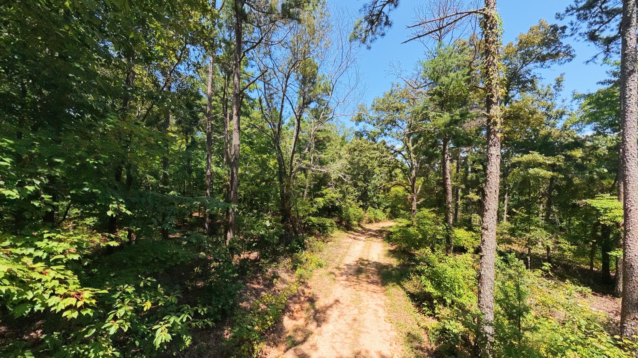 Photo 18 - Land for sale – 000  County Road 127   Alton, MO