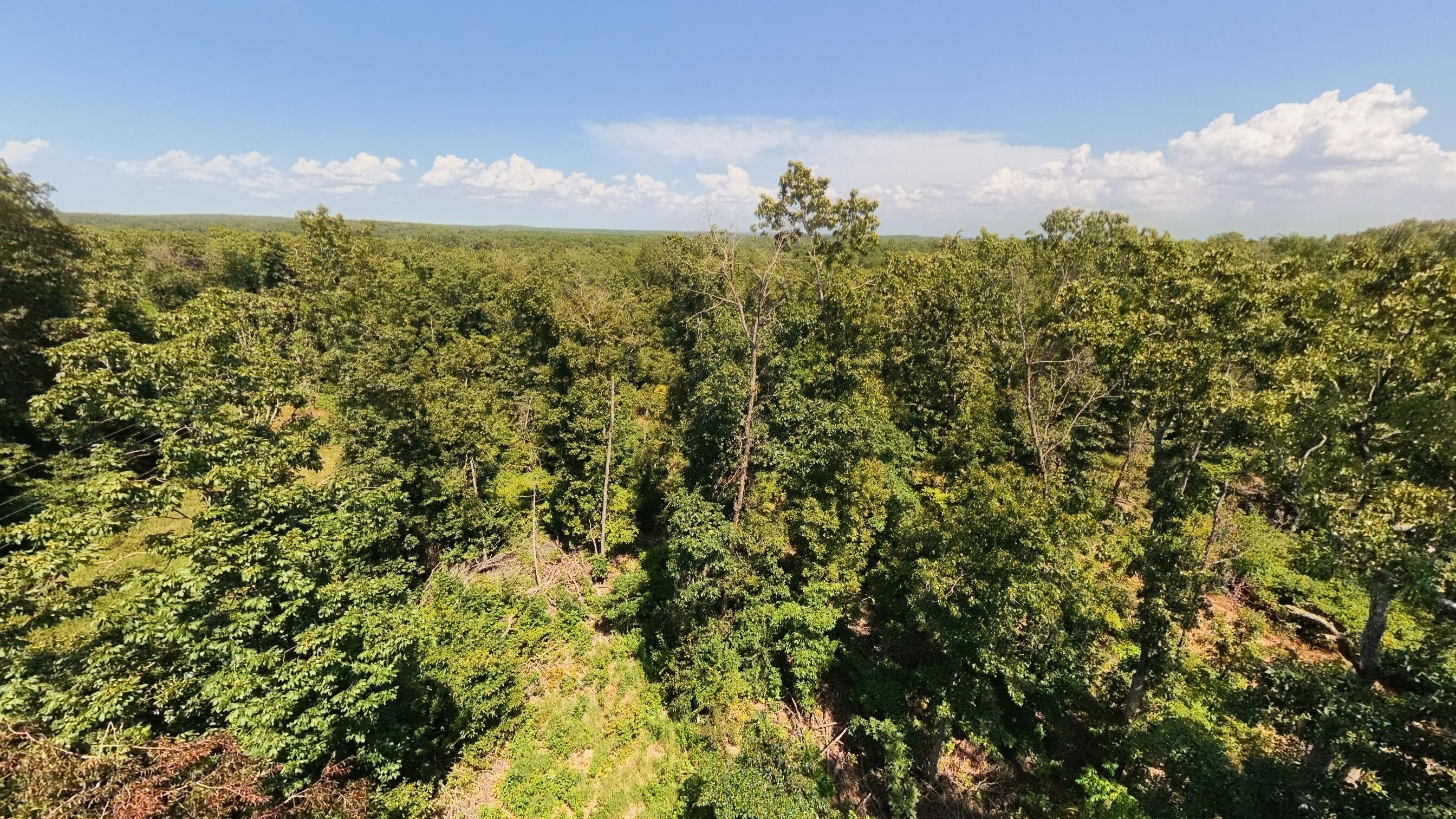 Photo 19 - Land for sale – 000  County Road 127   Alton, MO
