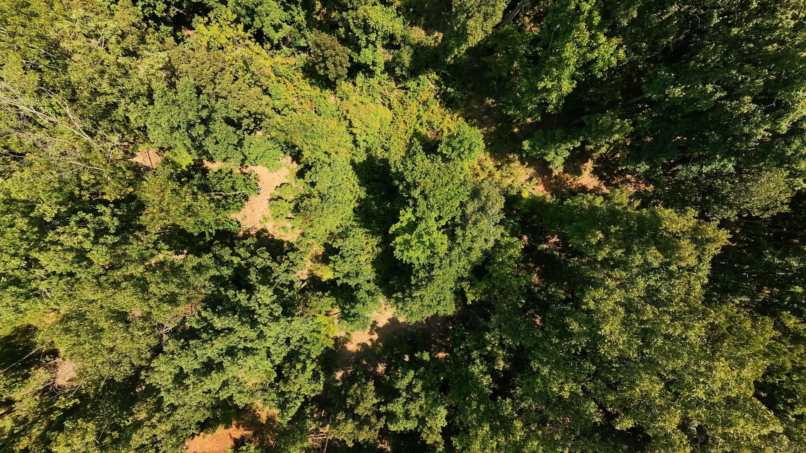Photo 5 - Land for sale – 000  County Road 127   Alton, MO