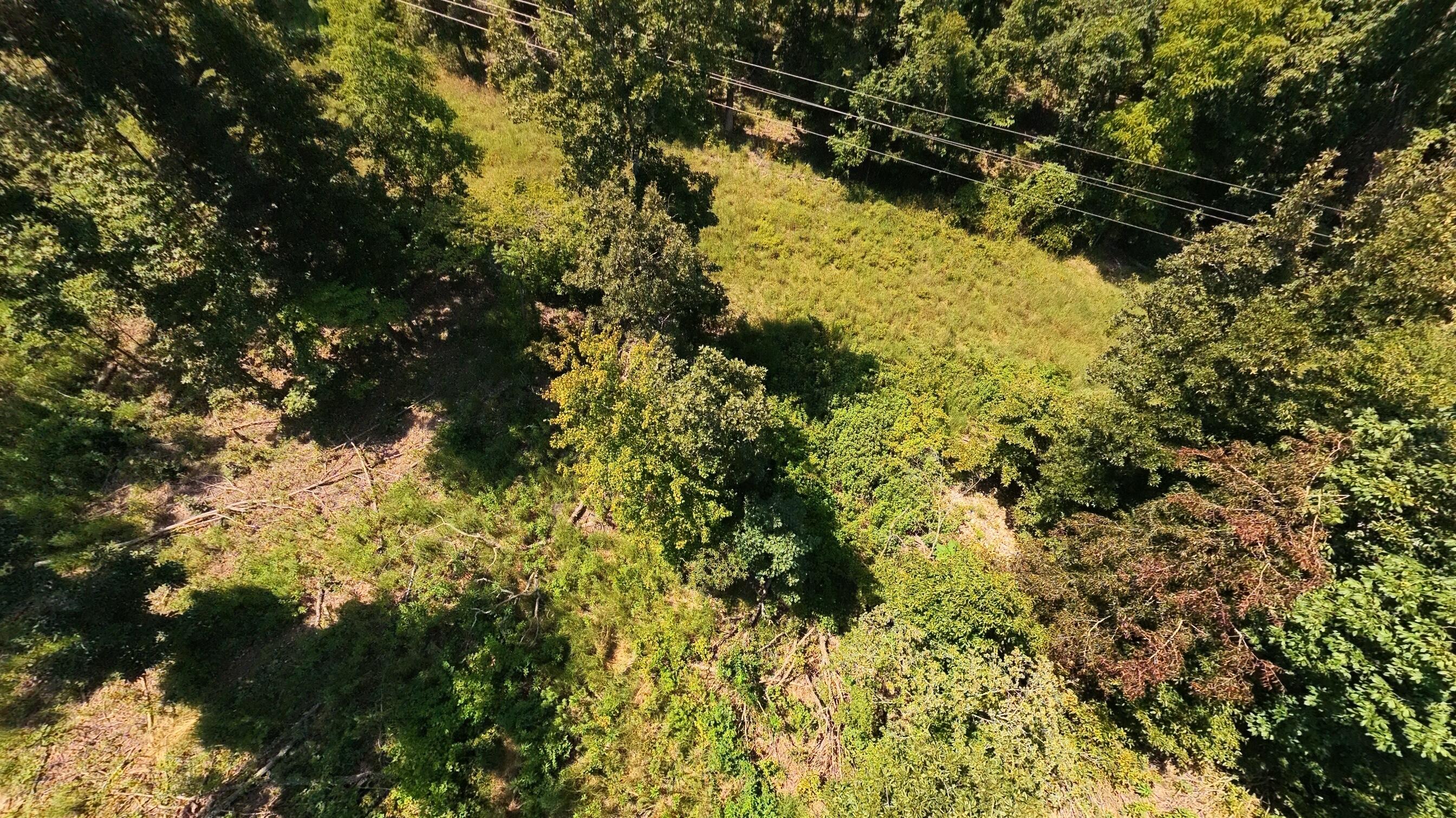 Photo 10 - Land for sale – 000  County Road 127   Alton, MO