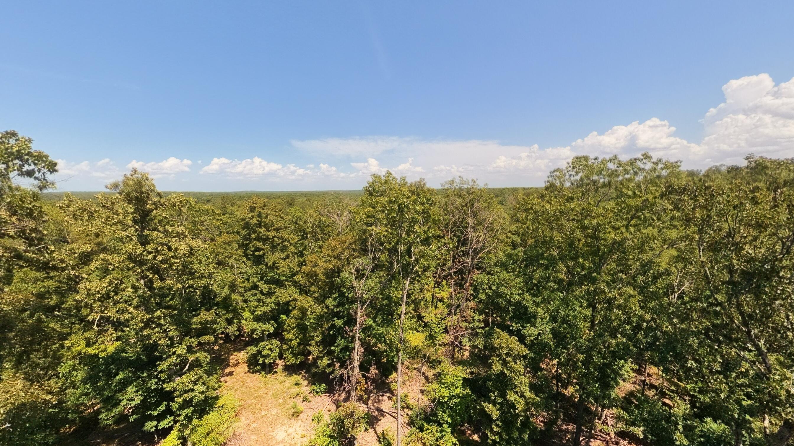 Photo 15 - Land for sale – 000  County Road 127   Alton, MO