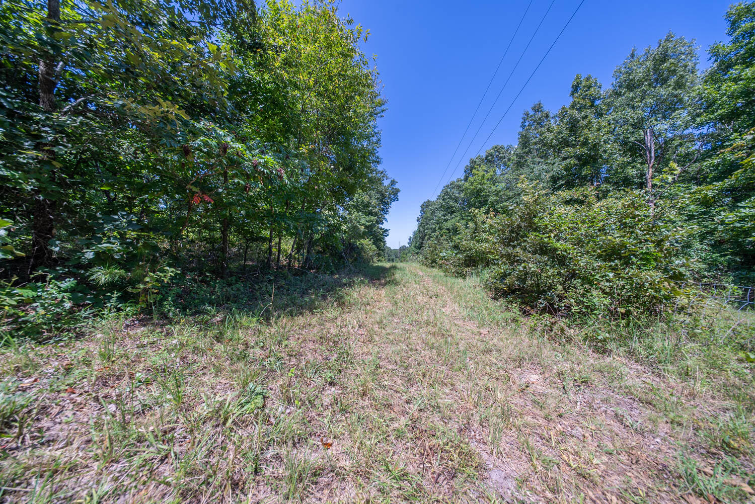 Photo 23 - Land for sale – 000  County Road 127   Alton, MO