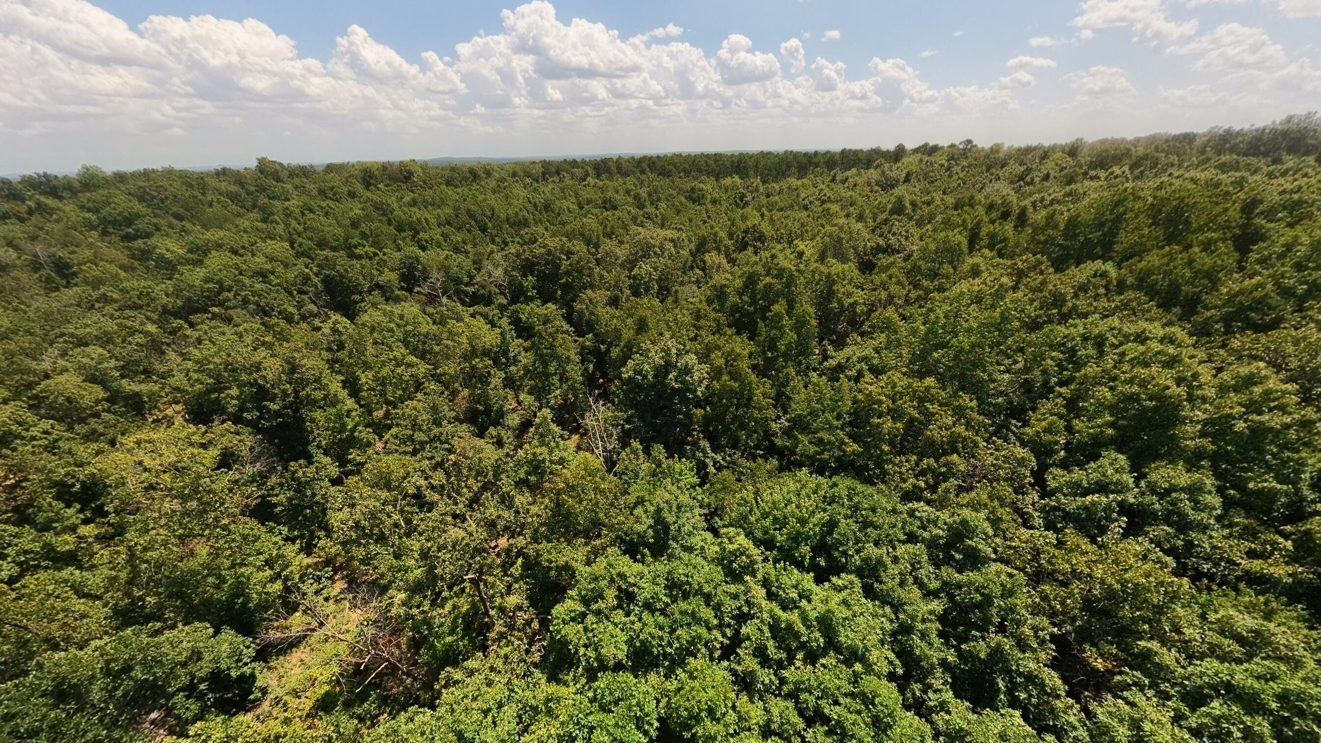 Photo 12 - Land for sale – 000  County Road 127   Alton, MO