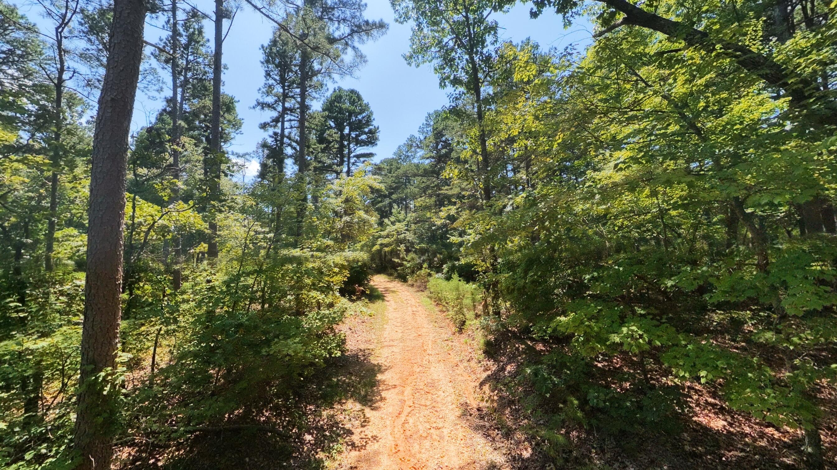 Photo 17 - Land for sale – 000  County Road 127   Alton, MO