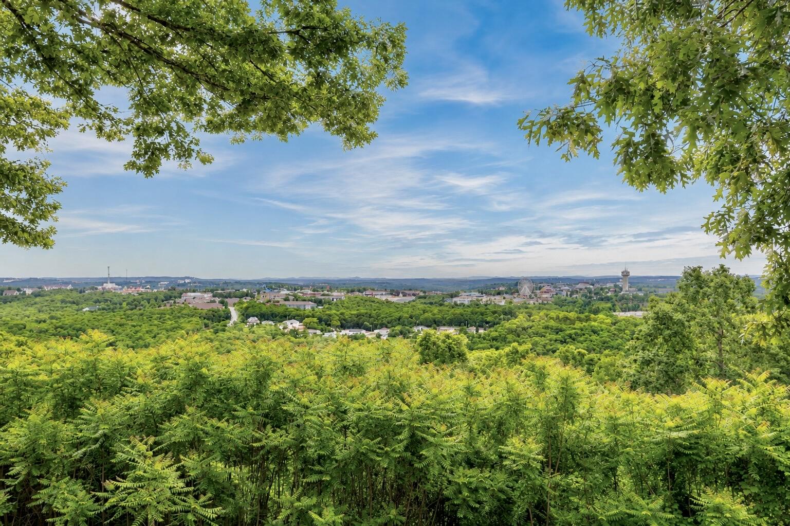 Photo 45 - Commercial Sale for sale – 2362  State Hwy 265   Branson, MO