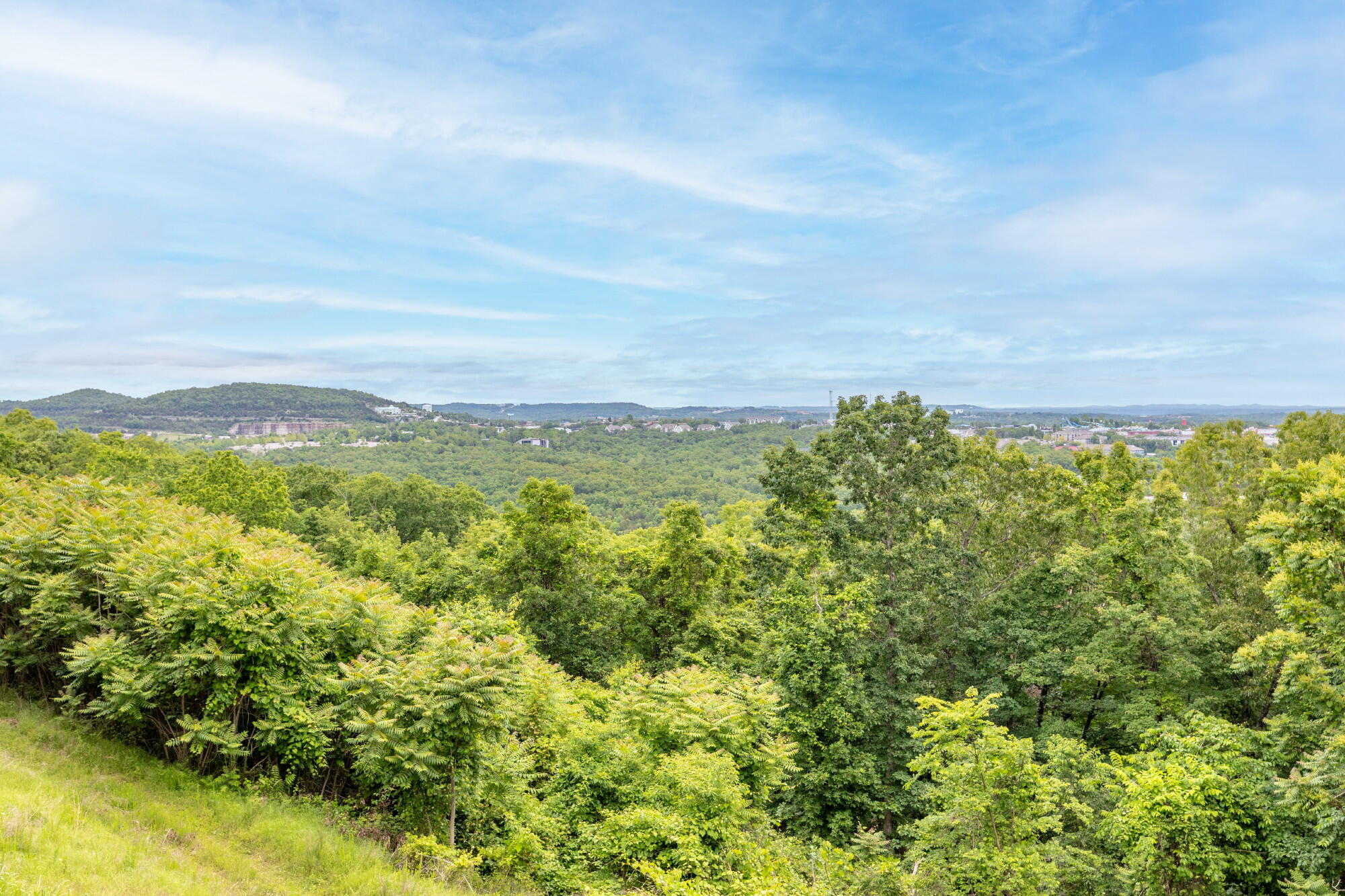 Photo 30 - Commercial Sale for sale – 2362  State Hwy 265   Branson, MO