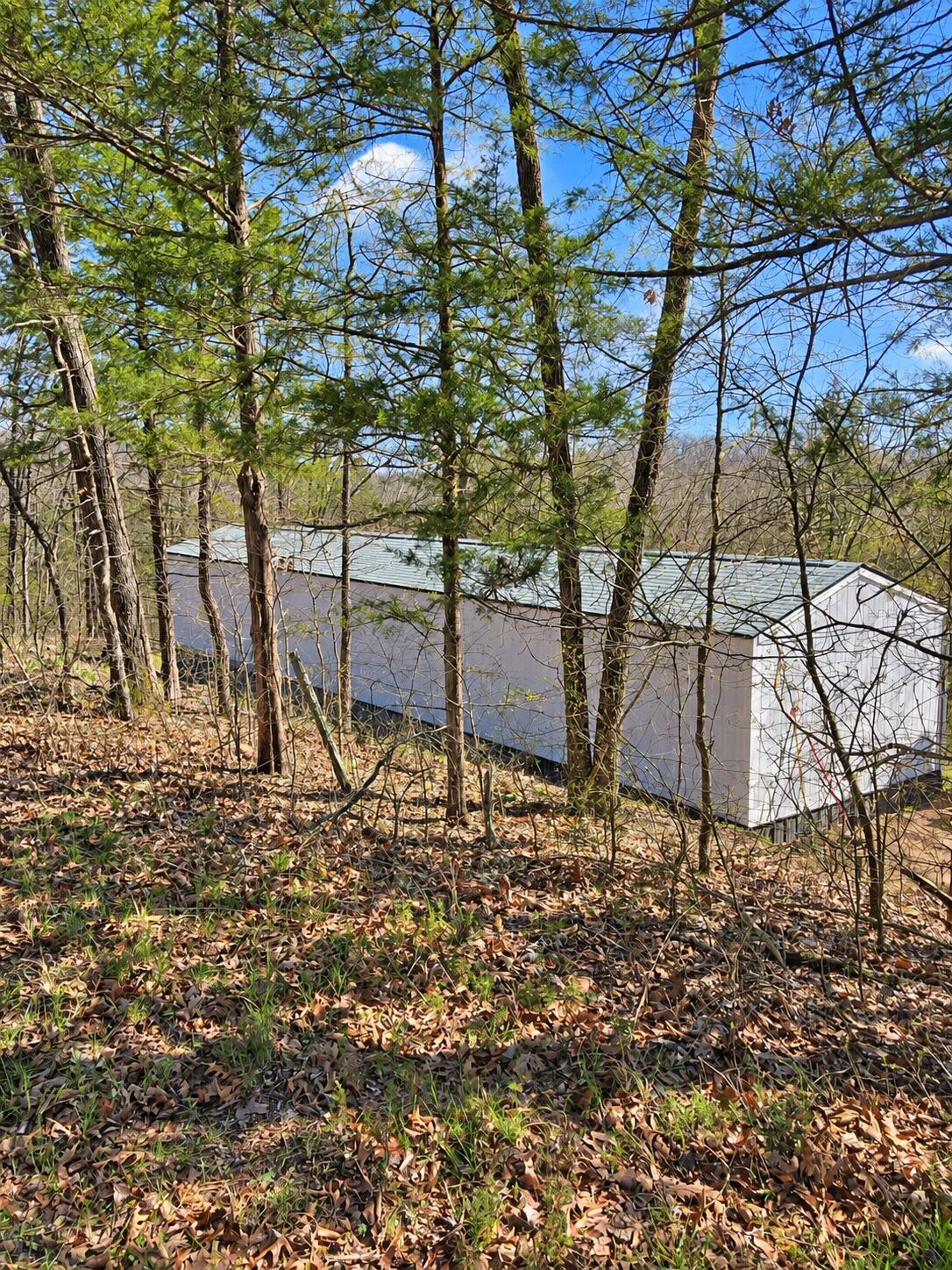 Photo 22 - Residential for sale – 8  Lake Forest Drive  Galena, MO
