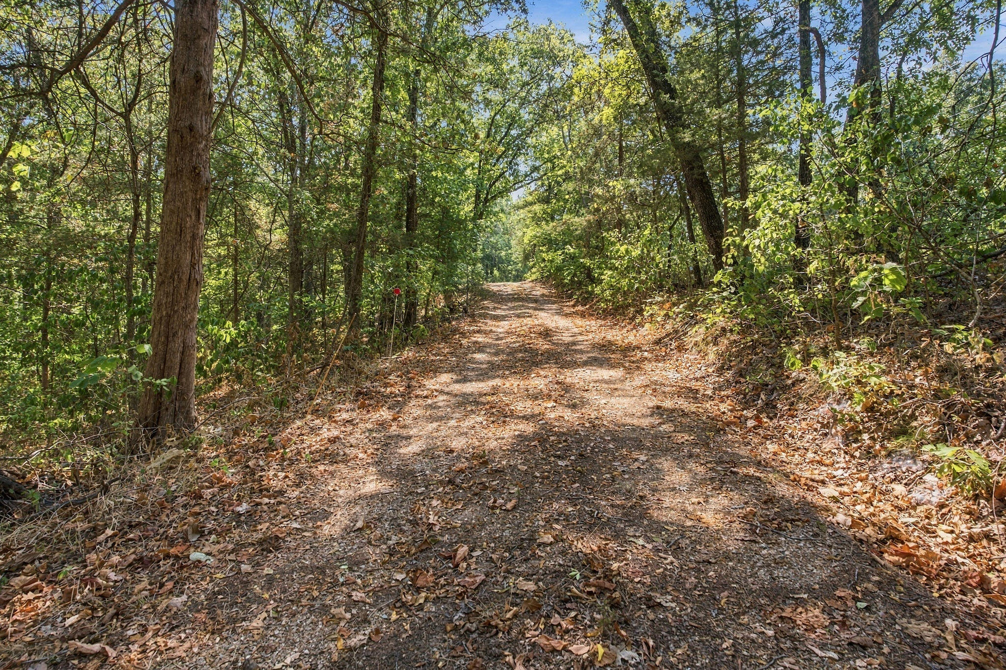 Photo 32 - Residential for sale – 8  Lake Forest Drive  Galena, MO