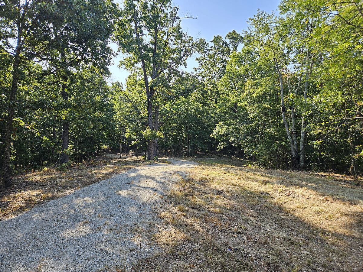 Photo 14 - Land for sale – 3699  Highway M   Cabool, MO