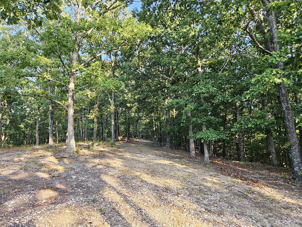 Photo 48 - Land for sale – 3699  Highway M   Cabool, MO