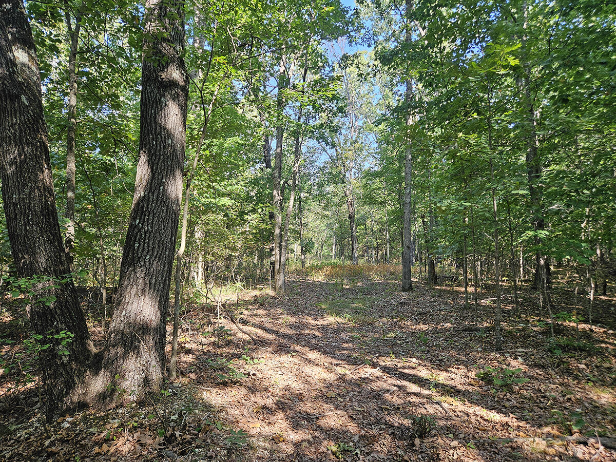 Photo 51 - Land for sale – 3699  Highway M   Cabool, MO