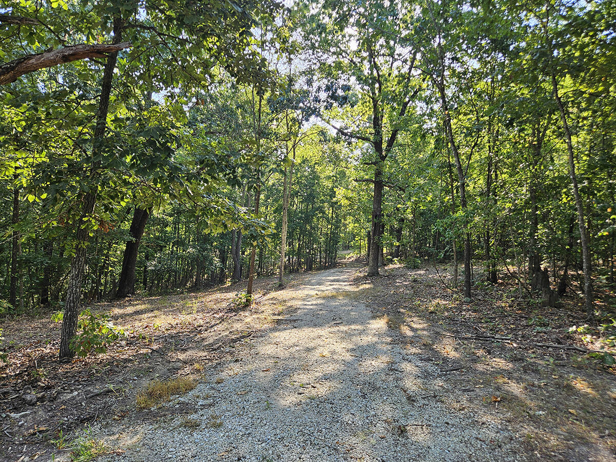 Photo 8 - Land for sale – 3699  Highway M   Cabool, MO