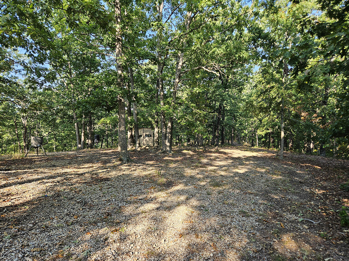 Photo 50 - Land for sale – 3699  Highway M   Cabool, MO