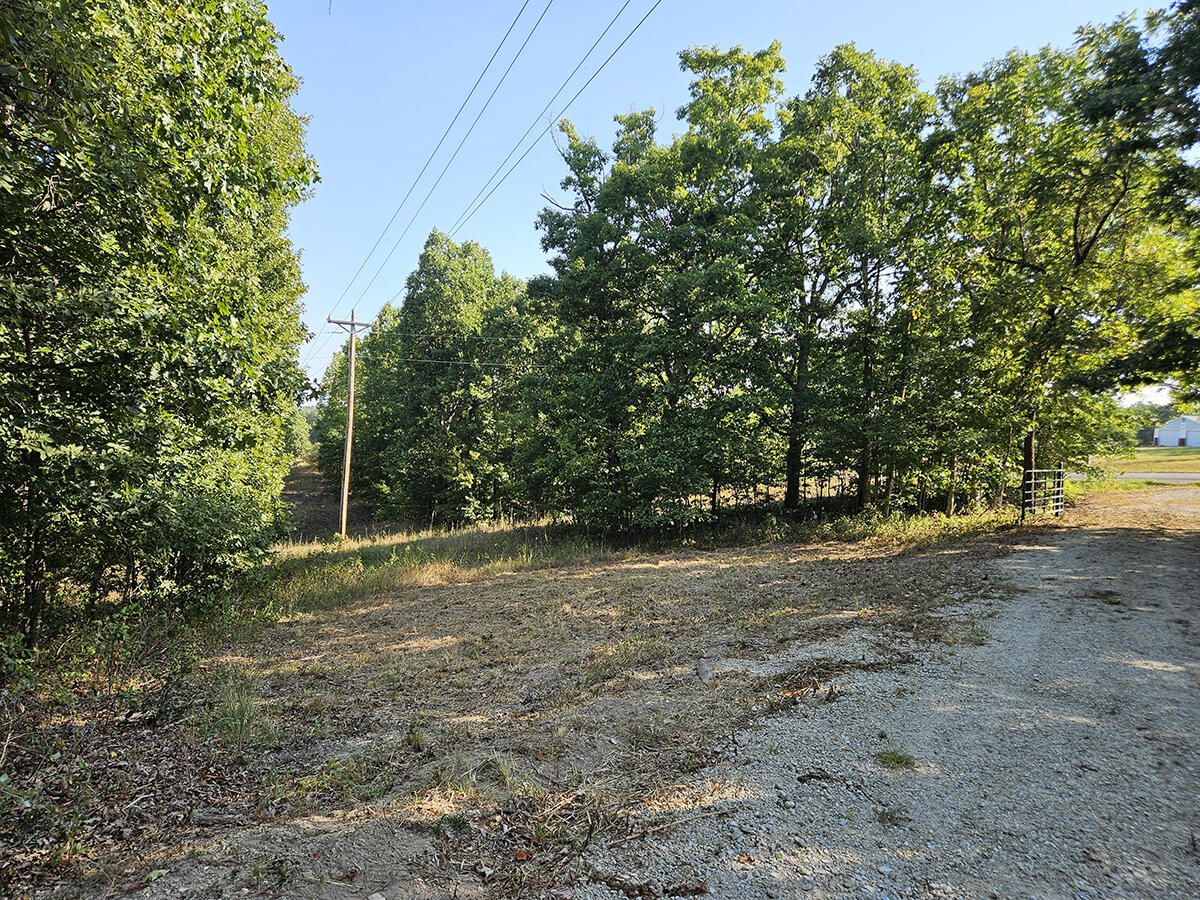 Photo 40 - Land for sale – 3699  Highway M   Cabool, MO