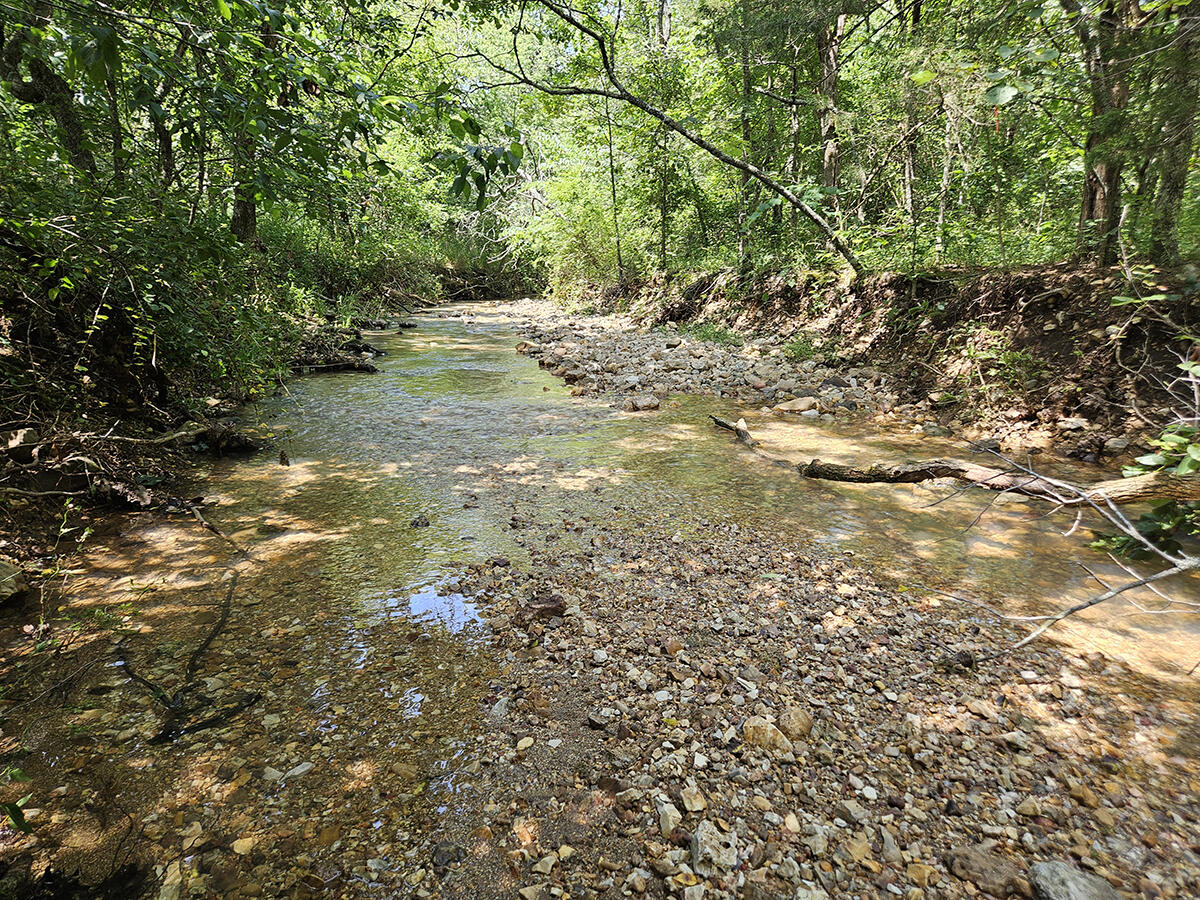 Photo 3 - Land for sale – 3699  Highway M   Cabool, MO