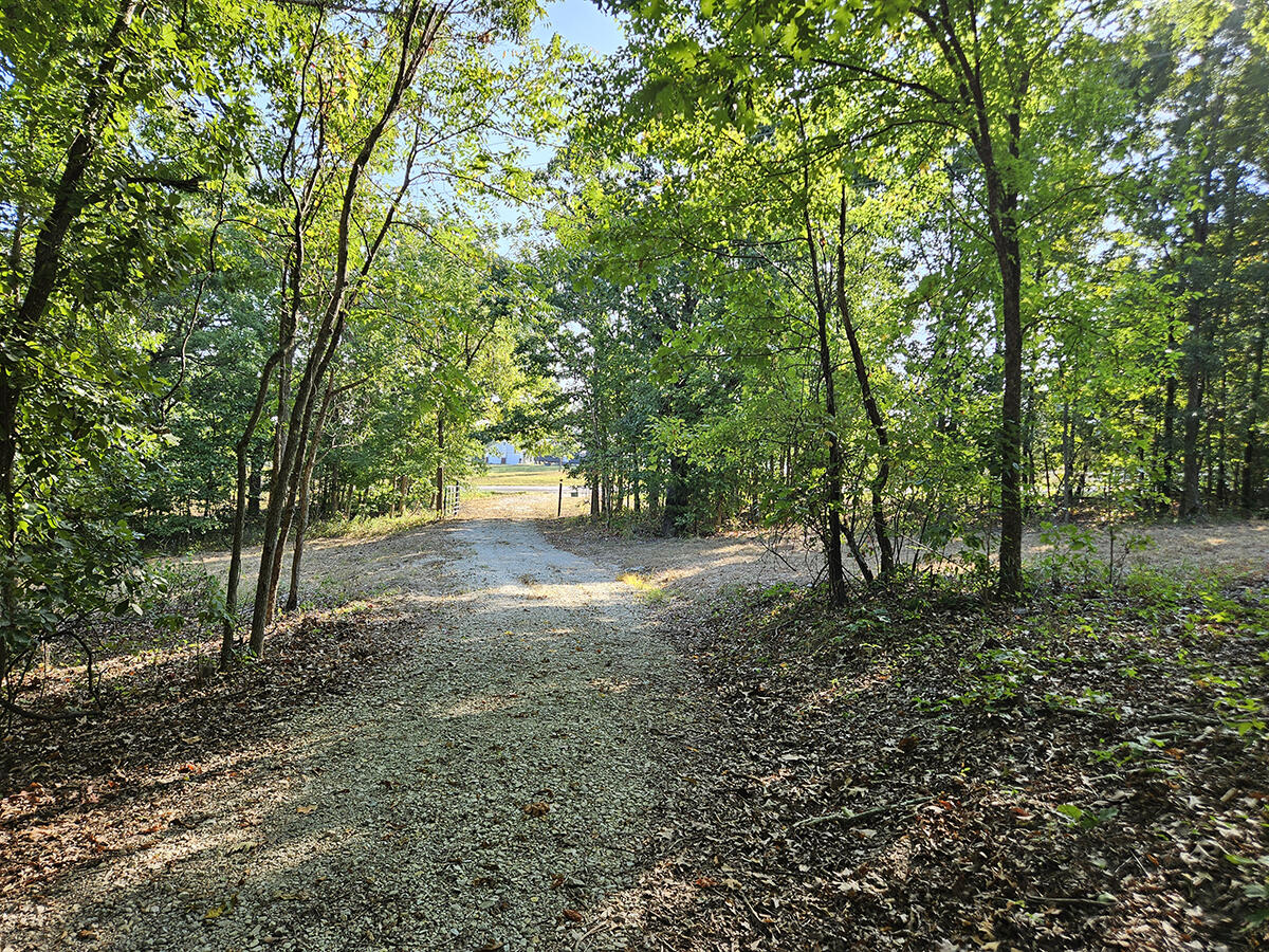 Photo 13 - Land for sale – 3699  Highway M   Cabool, MO