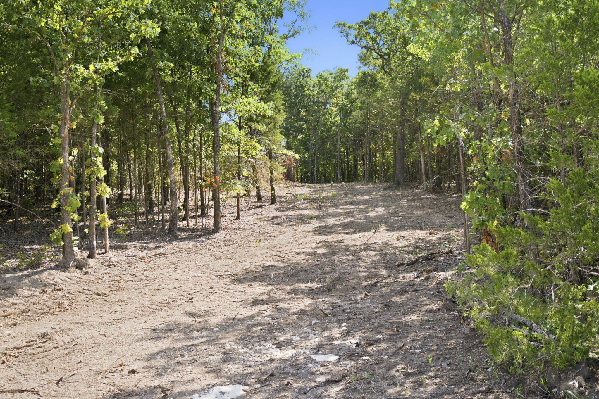 Photo 12 - Land for sale – 000  Critter Trail  Hollister, MO
