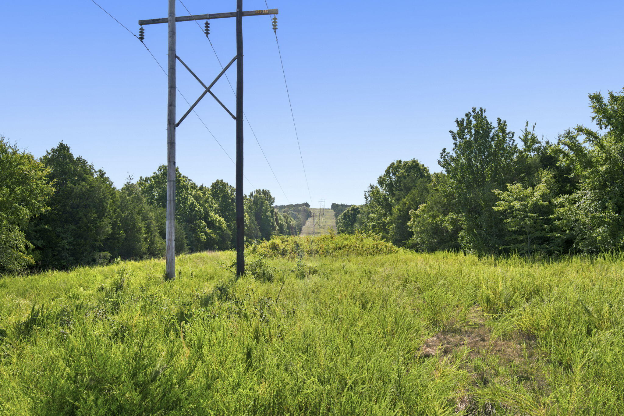 Photo 16 - Land for sale – 000  Critter Trail  Hollister, MO