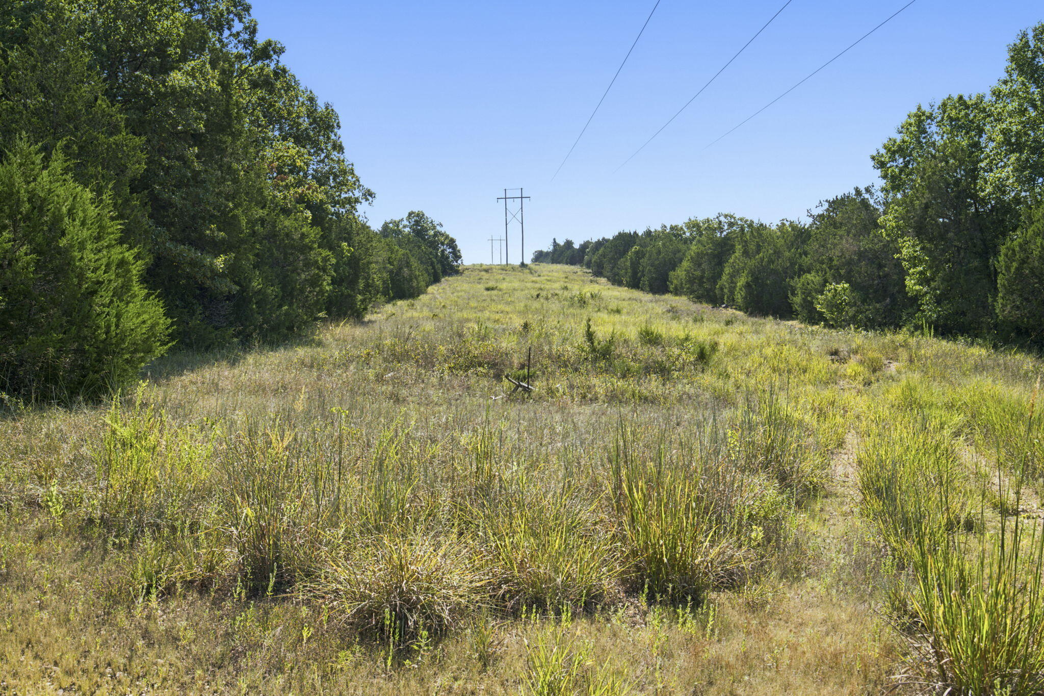 Photo 17 - Land for sale – 000  Critter Trail  Hollister, MO