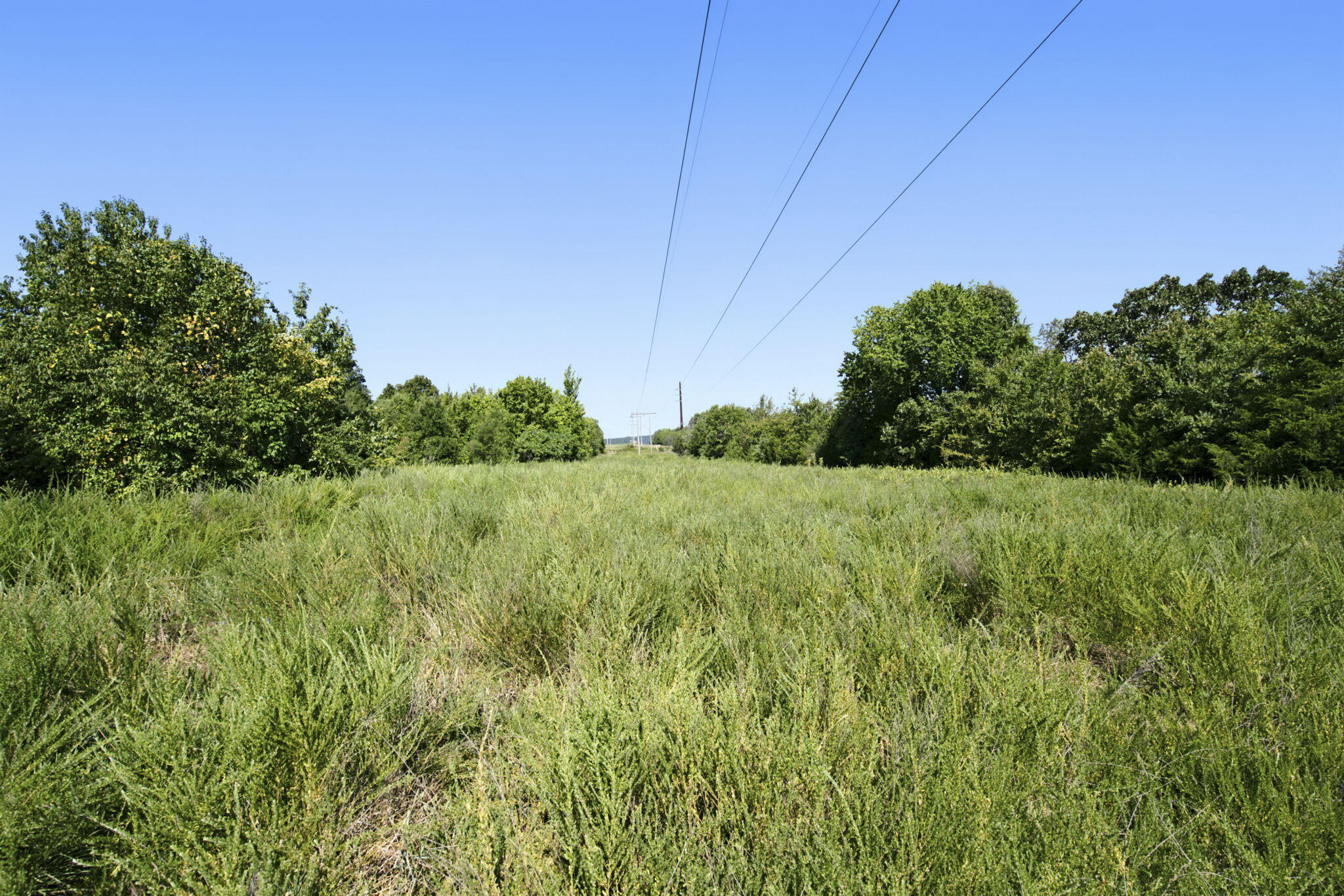 Photo 15 - Land for sale – 000  Critter Trail  Hollister, MO