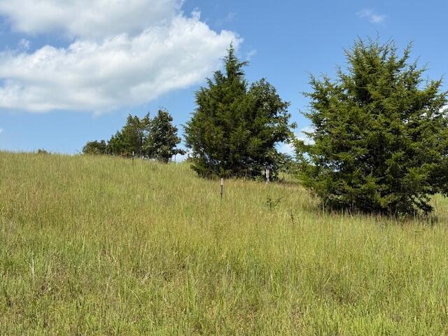 Photo 4 - Farm for sale – 2285  County Road 437-B   Mountain View, MO