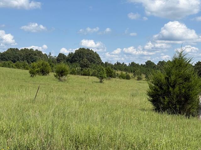 Photo 14 - Farm for sale – 2285  County Road 437-B   Mountain View, MO