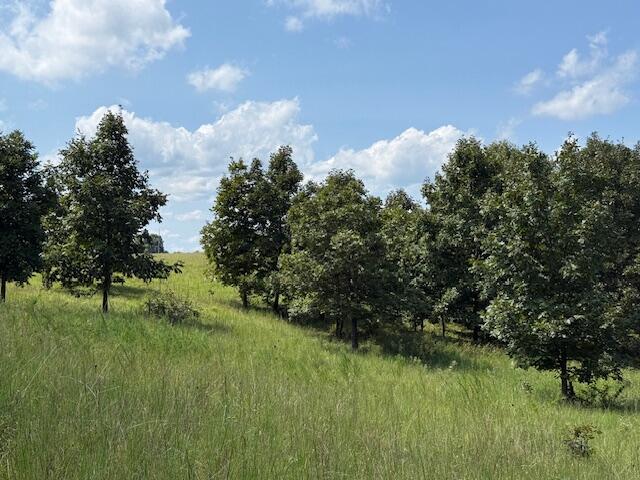 Photo 22 - Farm for sale – 2285  County Road 437-B   Mountain View, MO