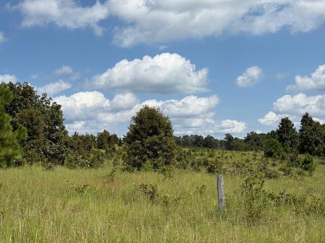 Photo 29 - Farm for sale – 2285  County Road 437-B   Mountain View, MO