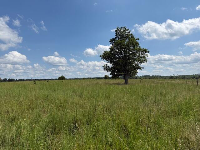 Photo 11 - Farm for sale – 2285  County Road 437-B   Mountain View, MO