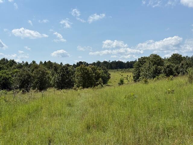 Photo 21 - Farm for sale – 2285  County Road 437-B   Mountain View, MO