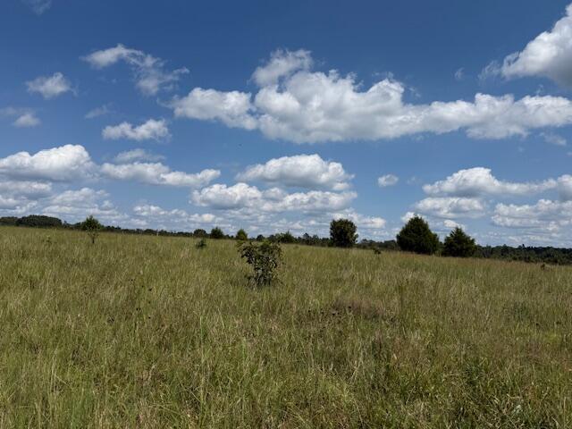 Photo 20 - Farm for sale – 2285  County Road 437-B   Mountain View, MO