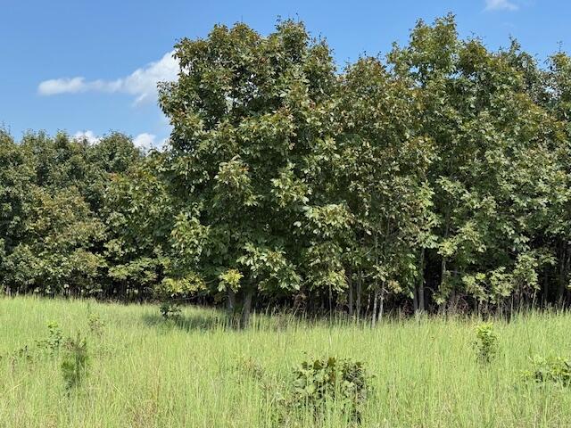 Photo 35 - Farm for sale – 2285  County Road 437-B   Mountain View, MO