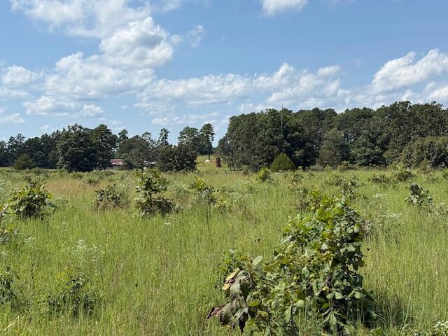 Photo 34 - Farm for sale – 2285  County Road 437-B   Mountain View, MO