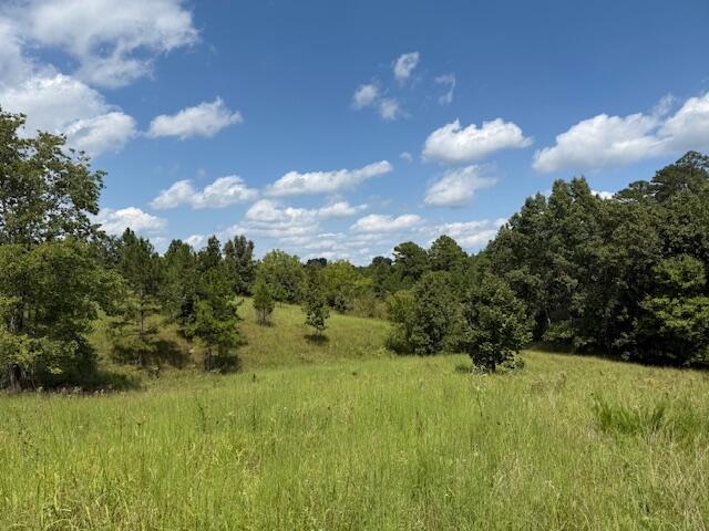 Photo 9 - Farm for sale – 2285  County Road 437-B   Mountain View, MO