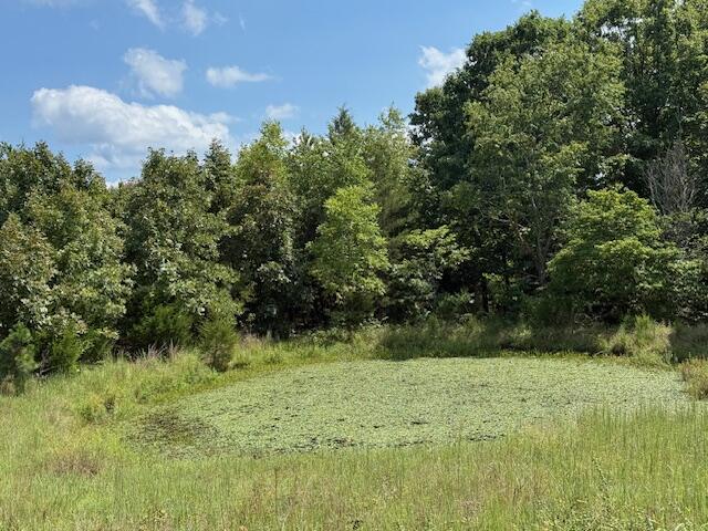 Photo 26 - Farm for sale – 2285  County Road 437-B   Mountain View, MO