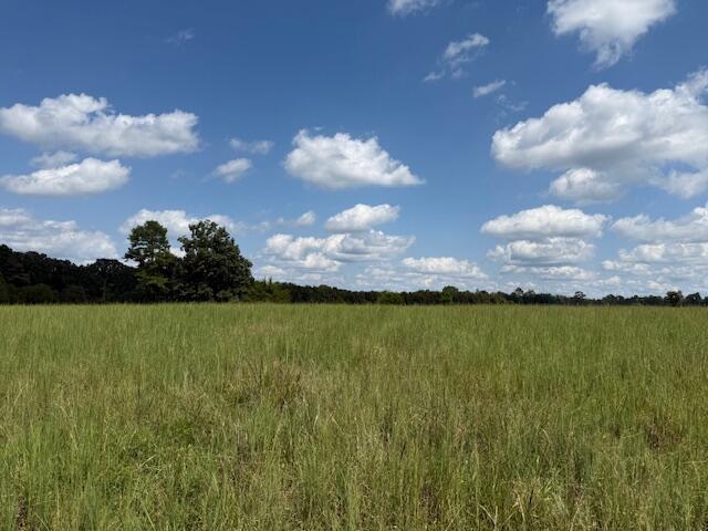 Photo 12 - Farm for sale – 2285  County Road 437-B   Mountain View, MO