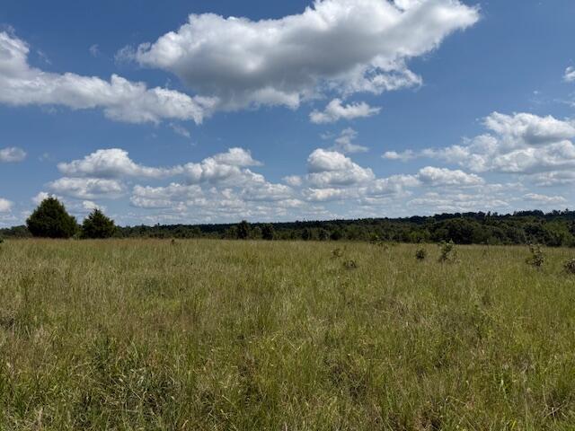 Photo 19 - Farm for sale – 2285  County Road 437-B   Mountain View, MO