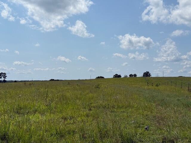 Photo 15 - Farm for sale – 2285  County Road 437-B   Mountain View, MO