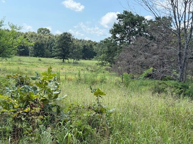 Photo 38 - Farm for sale – 2285  County Road 437-B   Mountain View, MO