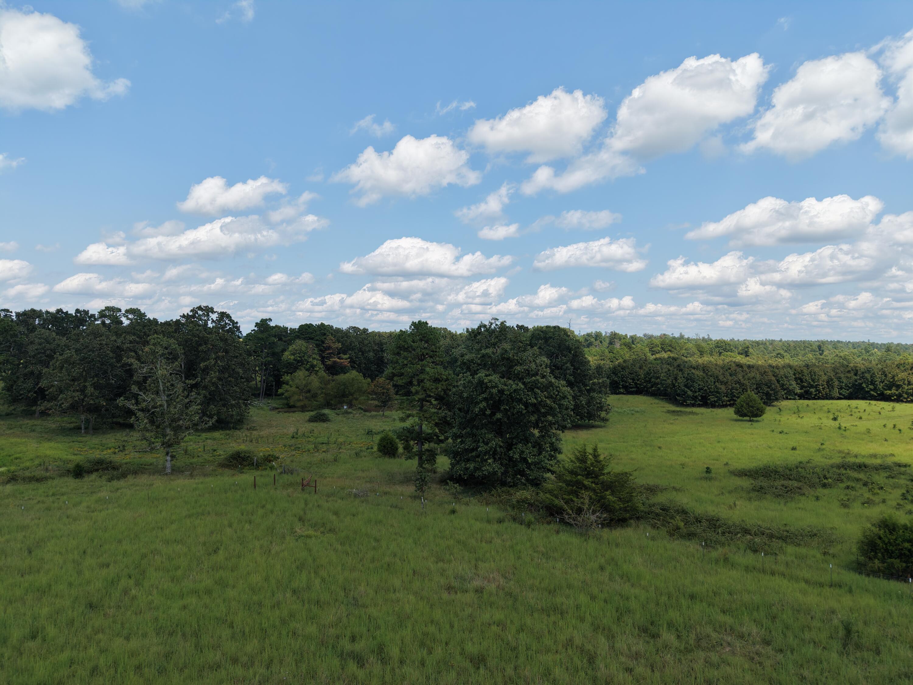 Photo 46 - Farm for sale – 2285  County Road 437-B   Mountain View, MO